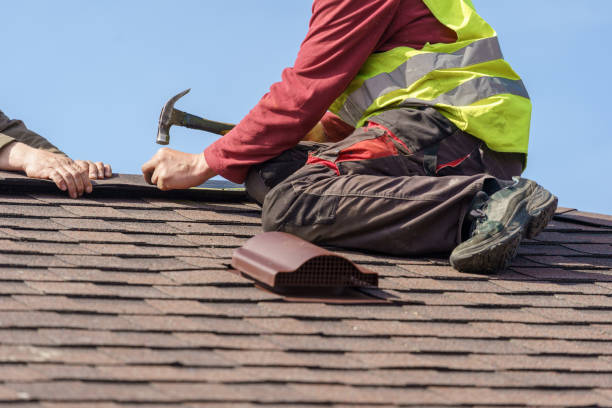 Best Metal Roofing Contractor  in Litchfield, MN