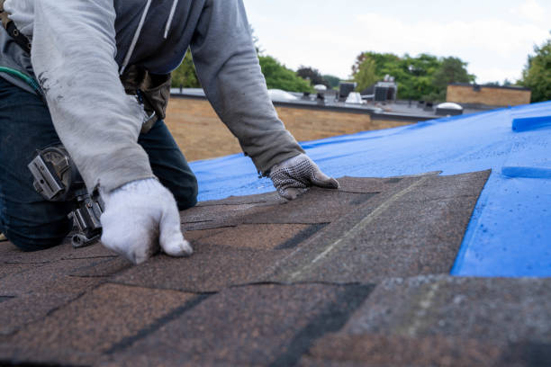 Best Commercial Roofing Services  in Litchfield, MN