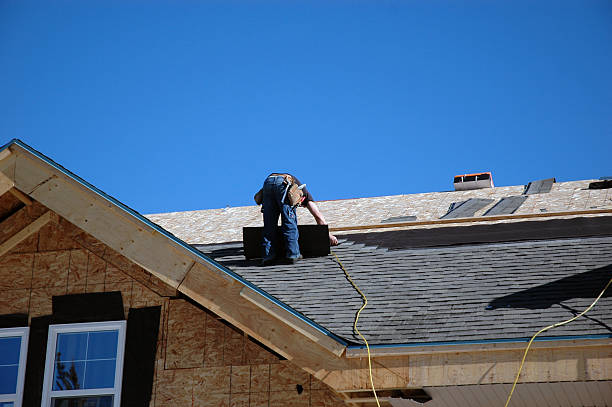 Best Storm Damage Roof Repair  in Litchfield, MN