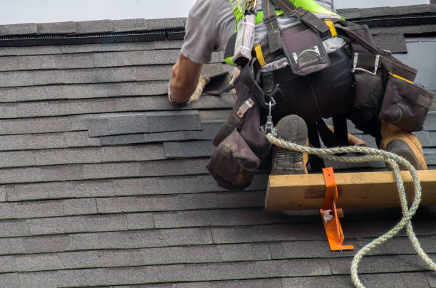 Residential Roof Replacement in Litchfield, MN