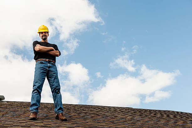 Best Roof Replacement Cost  in Litchfield, MN