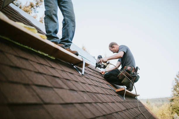 Best Roof Gutter Cleaning  in Litchfield, MN