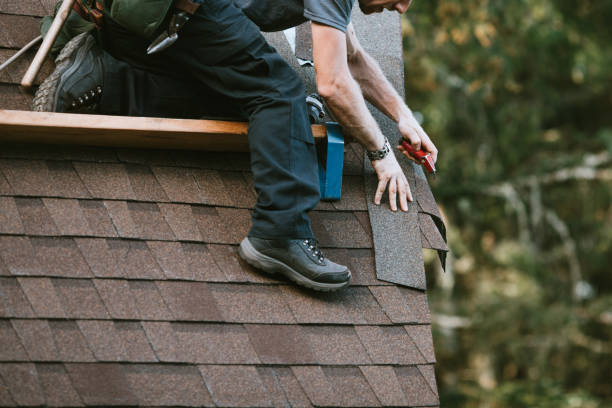 Best Roof Maintenance Services  in Litchfield, MN