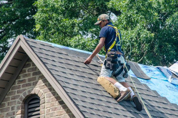 Best Storm Damage Roof Repair  in Litchfield, MN